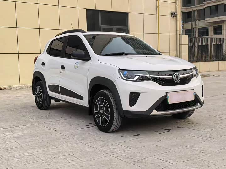 Dongfeng Nammi Nano EX1 Pro 2022 2022款 PRO 悦世型