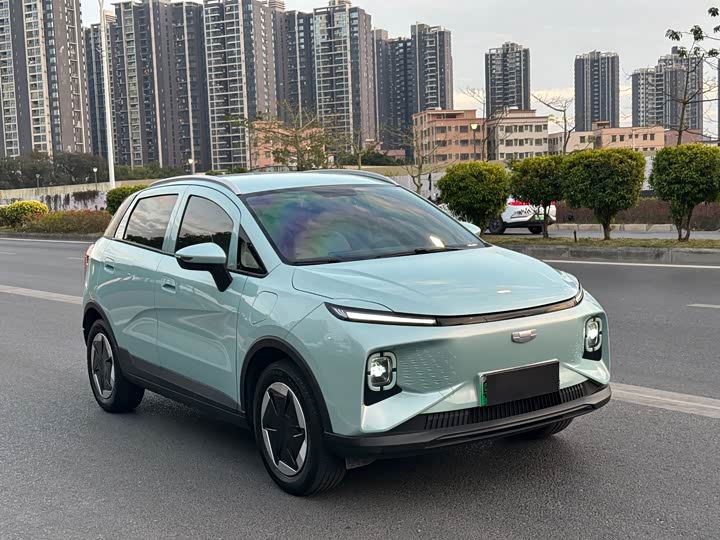 Geely Geometry E Firefly 2024 2024款 301km 星光