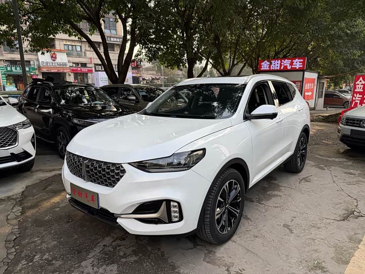 Wey VV6 2021 2021款 2.0T 两驱智护+