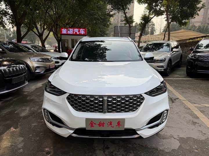Wey VV6 2021 2021款 2.0T 两驱智护+