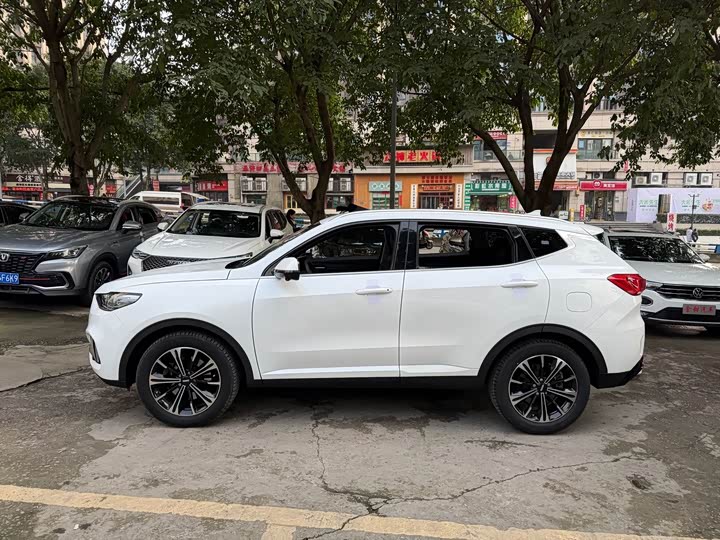 Wey VV6 2021 2021款 2.0T 两驱智护+