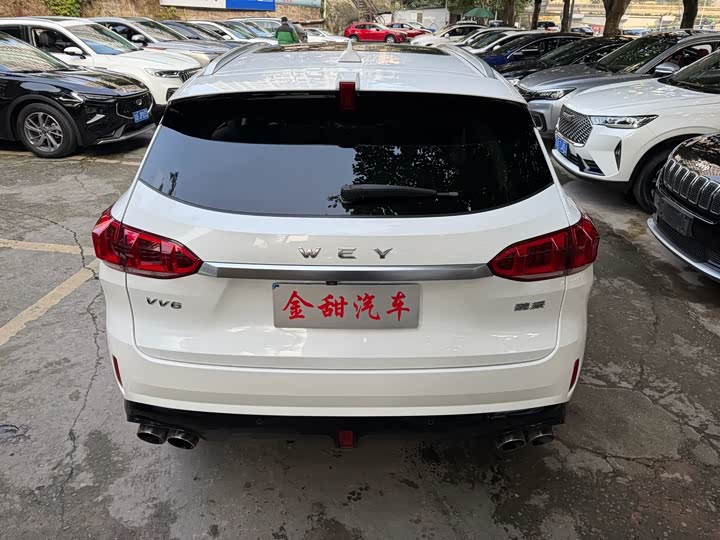 Wey VV6 2021 2021款 2.0T 两驱智护+