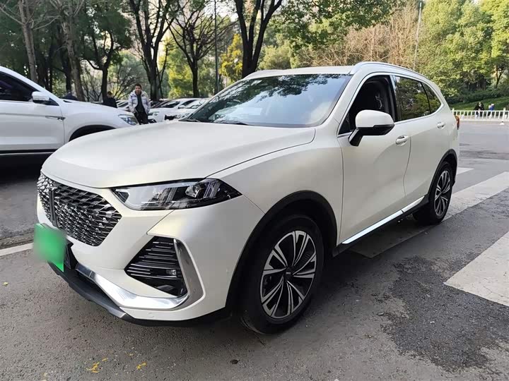 Wey Latte DHT 2022 2022款 1.5T DHT超大杯