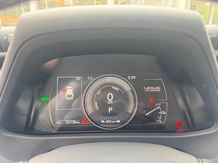 2020 Lexus UX Hybrid