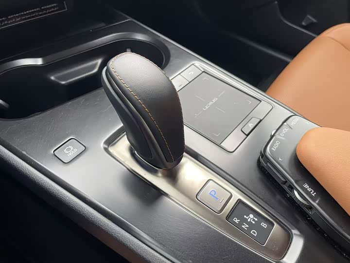 2020 Lexus UX Hybrid