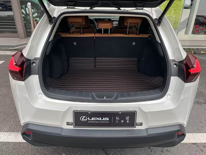 Lexus UX Hybrid 2020 2020款 300e 纯·悦版