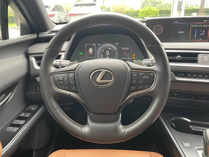 Lexus UX Hybrid 2020 2020款 300e 纯·悦版