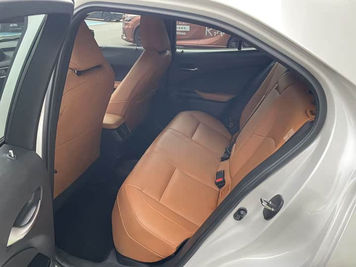 Lexus UX Hybrid 2020 2020款 300e 纯·悦版