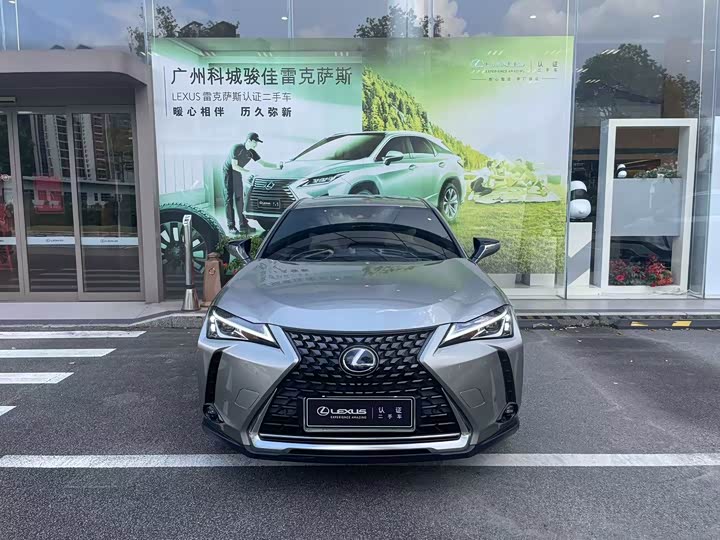Lexus UX Hybrid 2020 2020款 300e 纯·悦版