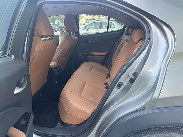 Lexus UX Hybrid 2020 2020款 300e 纯·悦版