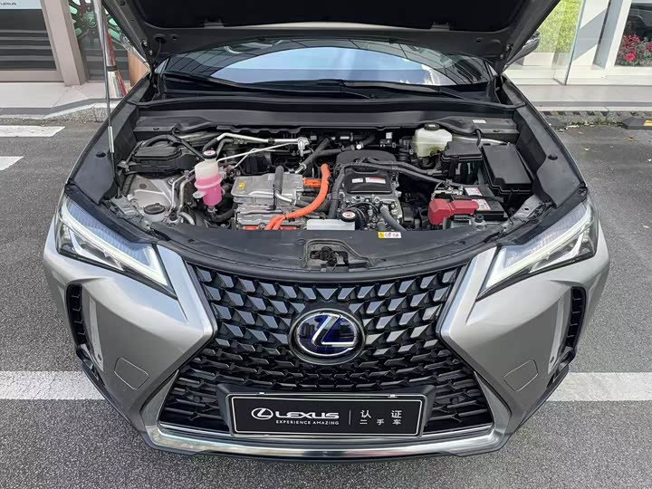 Lexus UX Hybrid 2020 2020款 300e 纯·悦版