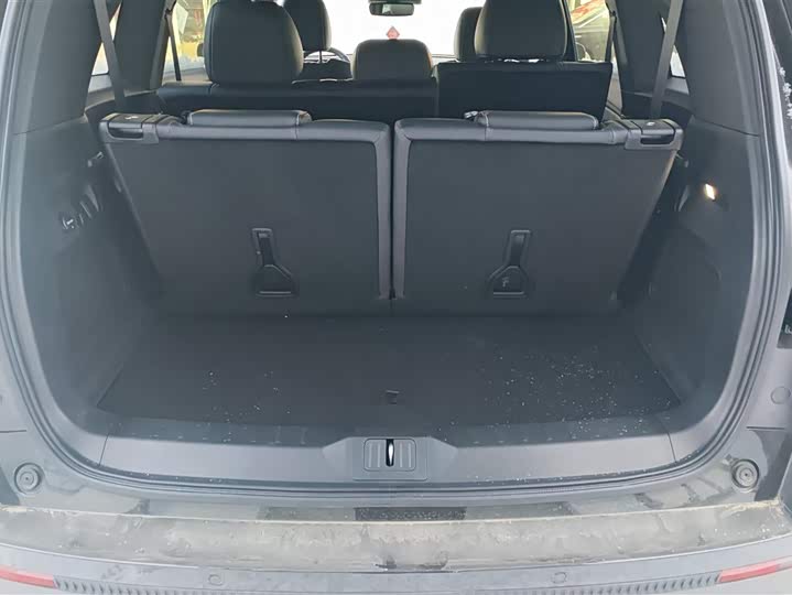 GAC Trumpchi GS8 2024 2024款 领航系列 2.0TGDI 两驱豪华智联版