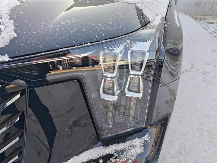 GAC Trumpchi GS8 2024 2024款 领航系列 2.0TGDI 两驱豪华智联版