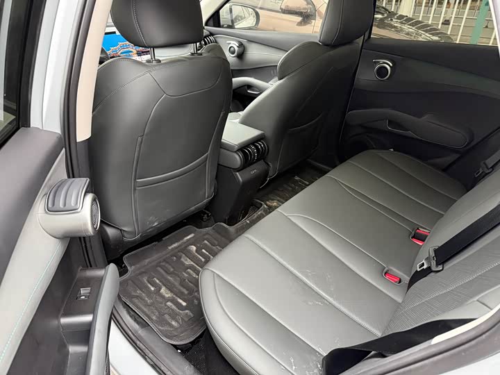 BYD Yuan Plus 2025 2025款 智驾版 510KM 超越型