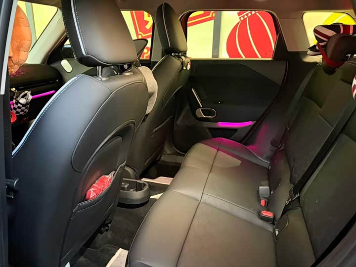 Mini Aceman 2024 2024款 SE 艺术家