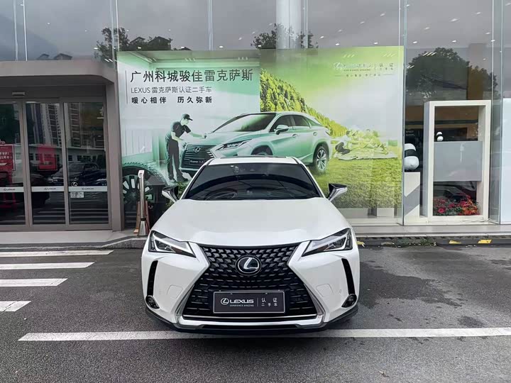 2020 Lexus UX Hybrid