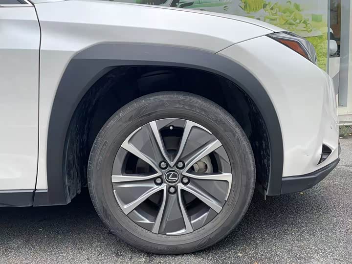 Lexus UX Hybrid 2020 2020款 300e 纯·悦版