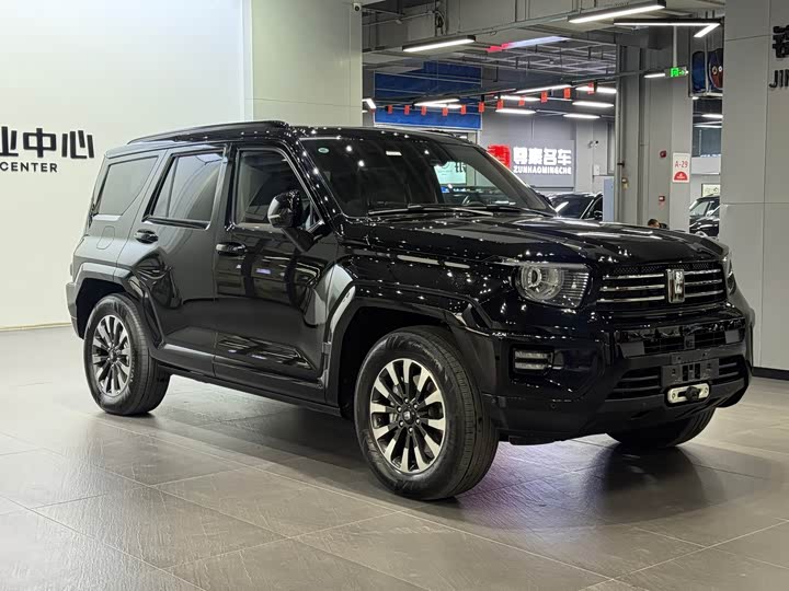 Tank 700 Hybrid 2024 2024款 Hi4-T 极境版