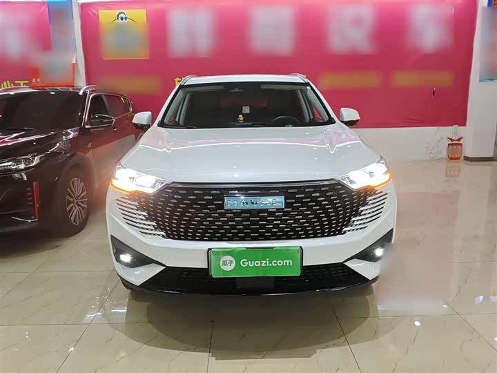 Haval H6 Hybrid 2023 2023款 DHT-PHEV 55KM 悦行版