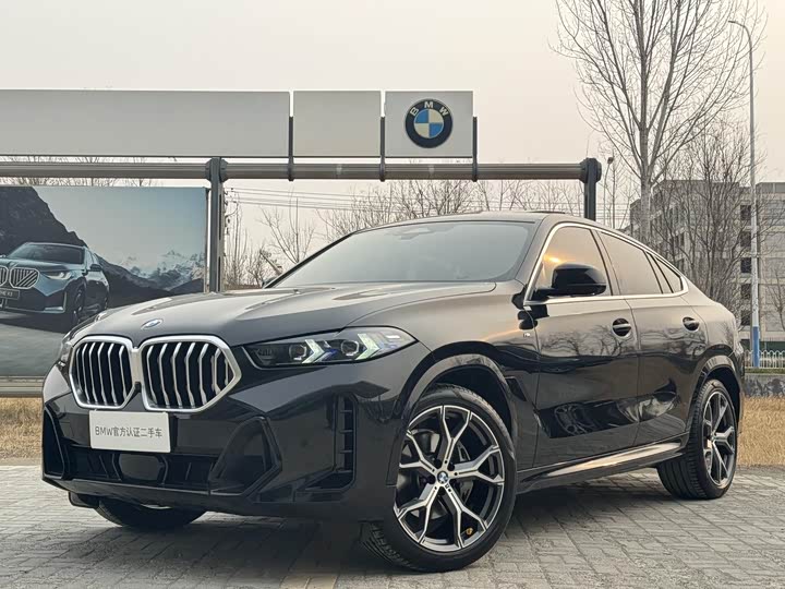2023 BMW X6