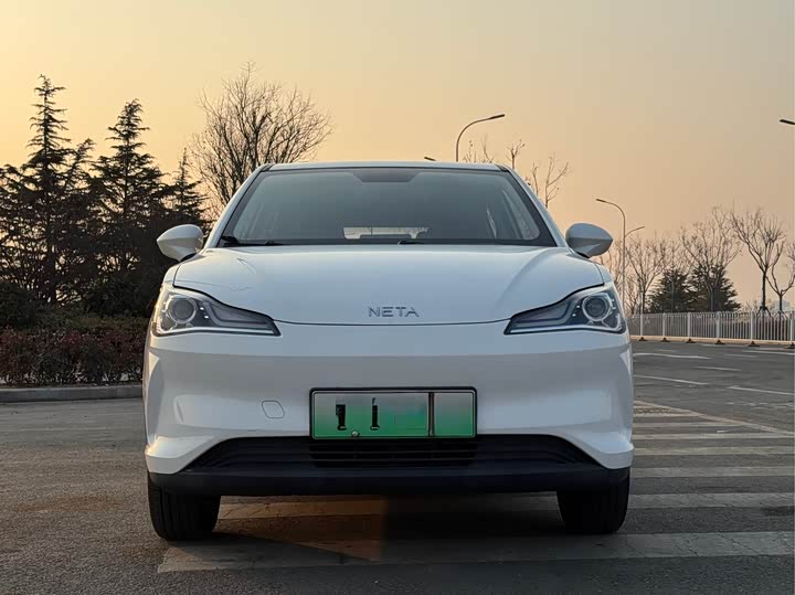 Hozon V 2022 2022款 潮 300 Lite 三元锂