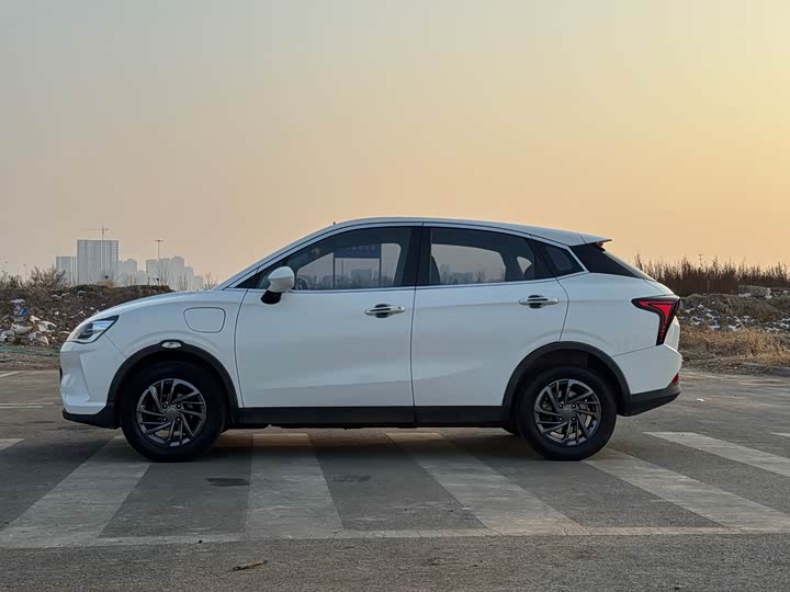 Hozon V 2022 2022款 潮 300 Lite 三元锂