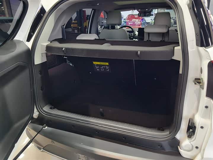 BYD Yuan Pro 2023 2023款 401KM尊贵型