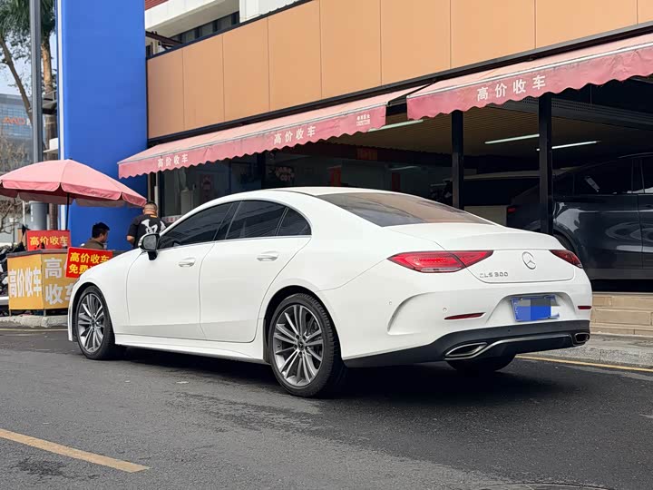 Mercedes-Benz CLS-Class 2023 2023款 CLS 300 动感型