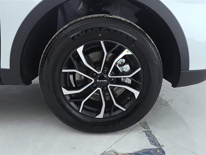 Haval H6 2025 2025款 1.5T 国潮都市版