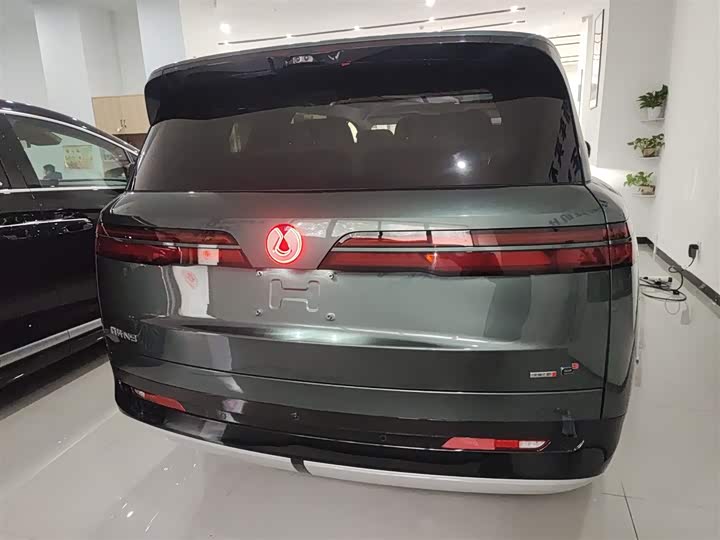 Denza N9 2025 2025款 旗舰型