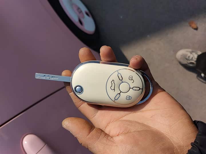 Bestune Pony 2025 2025款 222km 灵动马