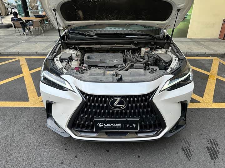 Lexus NX 2023 2023款 350h 前驱 创驰版