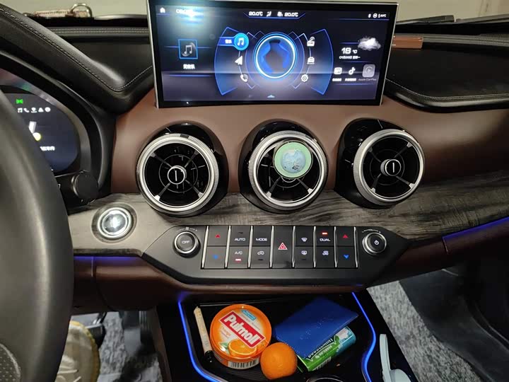 Wey VV7 2020 2020款 2.0T 超豪型