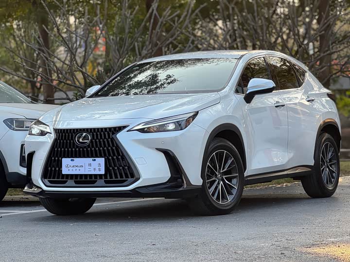 Lexus NX 2023 2023款 350h 前驱 创驰版