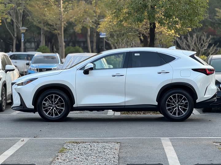 Lexus NX 2023 2023款 350h 前驱 创驰版