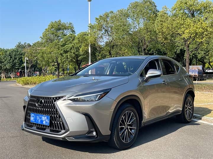 Lexus NX 2023 2023款 260 前驱 创悦版
