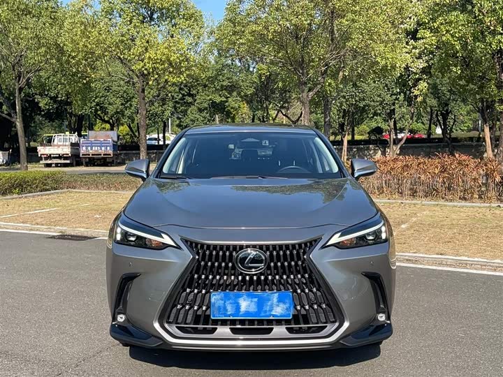 Lexus NX 2023 2023款 260 前驱 创悦版