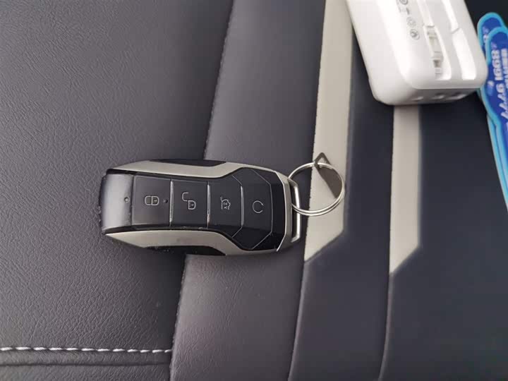 BYD Qin Pro 2020 2020款 超越版 1.5TI 自动尊贵型