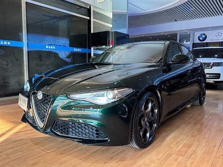 Alfa Romeo Giulia 2021 2021款 2.0T 280HP 豪华版