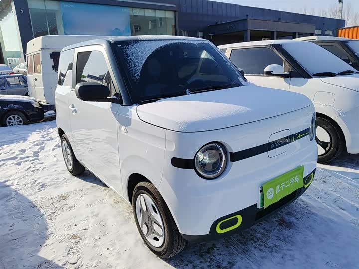 Geely Galaxy Panda Mini 2025 2025款 熊猫mini 210km 元气熊
