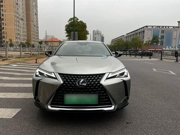 2020 Lexus UX Hybrid