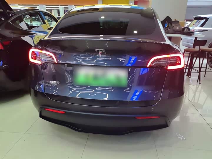 Tesla Model Y 2024 2024款 后轮驱动版