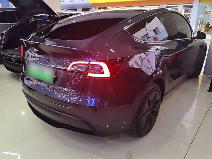 Tesla Model Y 2024 2024款 后轮驱动版
