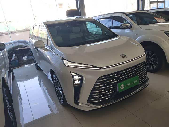 Buick GL8 ES 2025 2025款 陆尊 尊享版