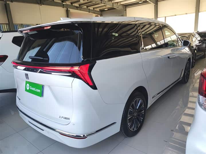 Buick GL8 ES 2025 2025款 陆尊 尊享版