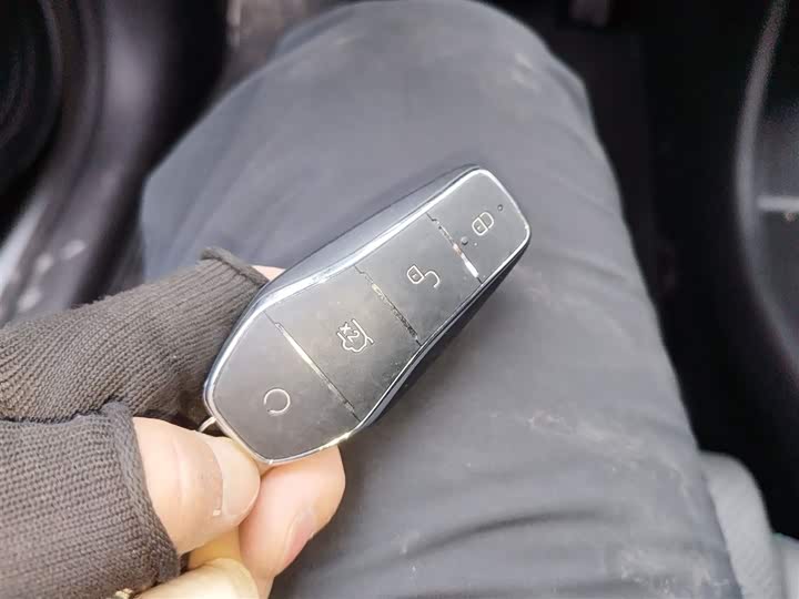 BYD Yuan Plus 2025 2025款 智驾版 510KM 超越型