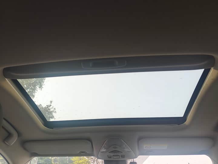 Toyota Izoa 2021 2021款 2.0L 奕享版