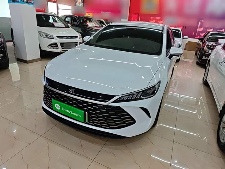 BYD Qin Plus 2025 2025款 DM-i 智驾版 55KM领先型