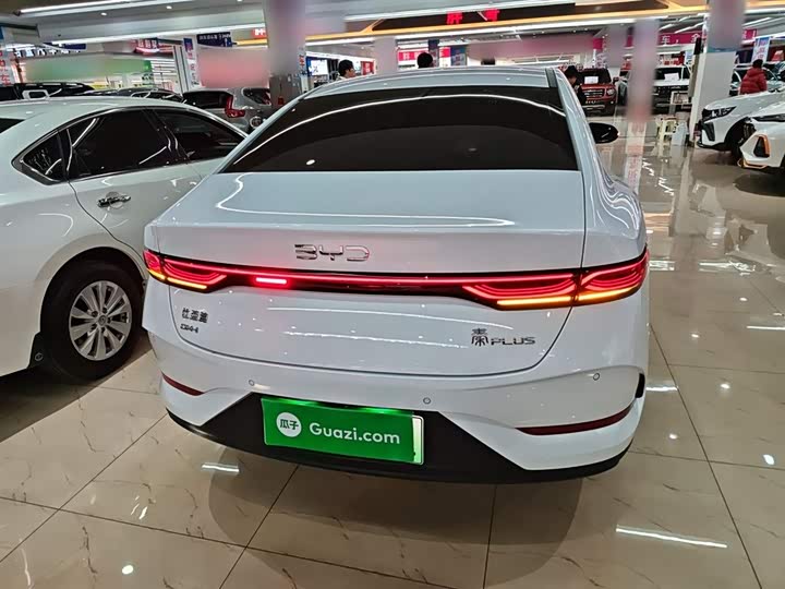 BYD Qin Plus 2025 2025款 DM-i 智驾版 55KM领先型