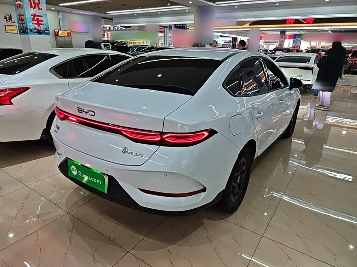 BYD Qin Plus 2025 2025款 DM-i 智驾版 55KM领先型